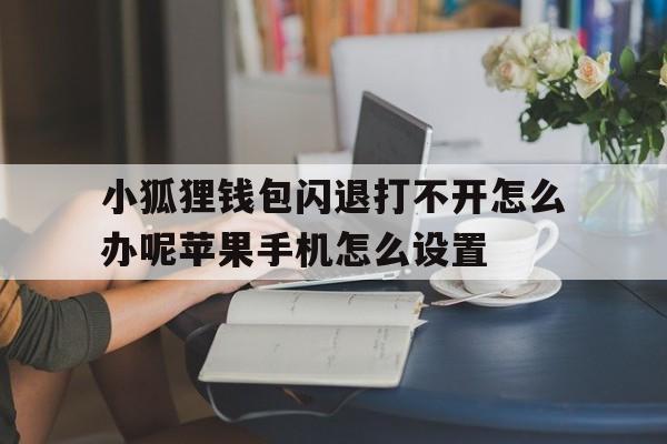 小狐狸钱包闪退打不开怎么办呢苹果手机怎么设置的简单介绍