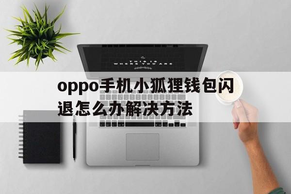 oppo手机小狐狸钱包闪退怎么办解决方法-oppo手机小狐狸钱包闪退怎么办解决方法视频