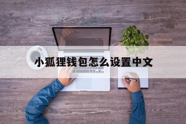 小狐狸钱包怎么设置中文-小狐狸钱包怎么设置中文字体