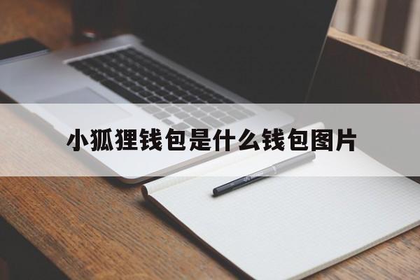 关于小狐狸钱包是什么钱包图片的信息