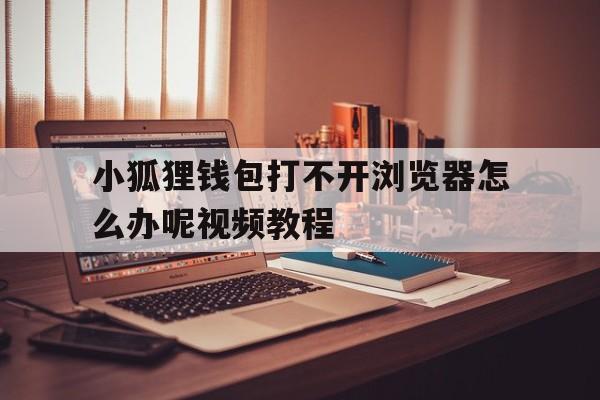 小狐狸钱包打不开浏览器怎么办呢视频教程-小狐狸钱包打不开浏览器怎么办呢视频教程大全