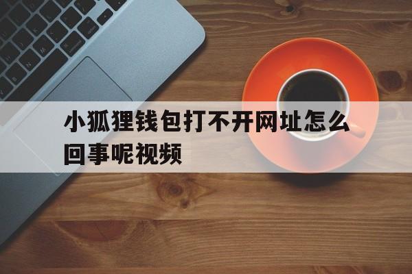 小狐狸钱包打不开网址怎么回事呢视频-小狐狸钱包打不开网址怎么回事呢视频讲解