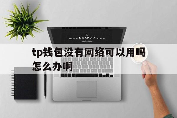 tp钱包没有网络可以用吗怎么办啊-tp钱包没有网络可以用吗怎么办啊安全吗