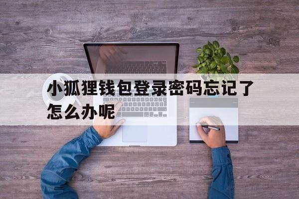 小狐狸钱包登录密码忘记了怎么办呢-小狐狸钱包登录密码忘记了怎么办呢安全吗