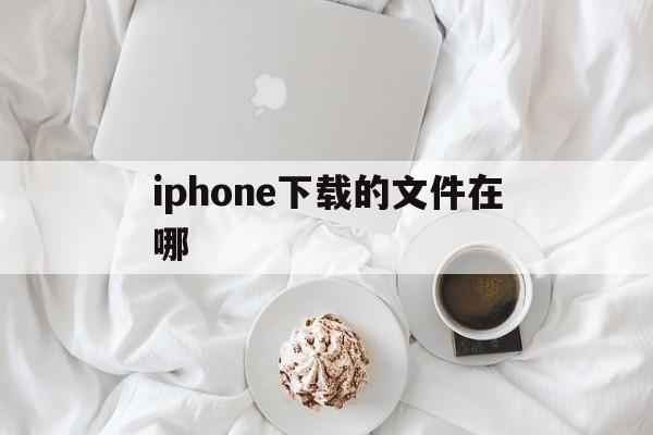 iphone下载的文件在哪-iphone下载的文件在哪个文件夹