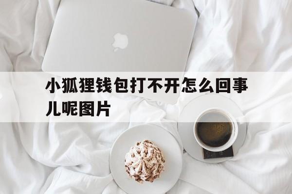 小狐狸钱包打不开怎么回事儿呢图片-小狐狸钱包打不开怎么回事儿呢图片大全