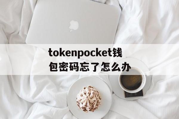 关于tokenpocket钱包密码忘了怎么办的信息