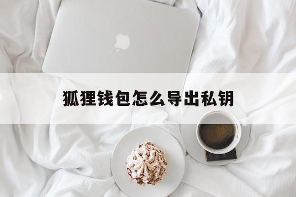狐狸钱包怎么导出私钥-狐狸钱包怎么导出私钥记录