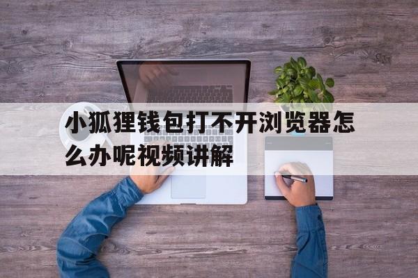 小狐狸钱包打不开浏览器怎么办呢视频讲解的简单介绍