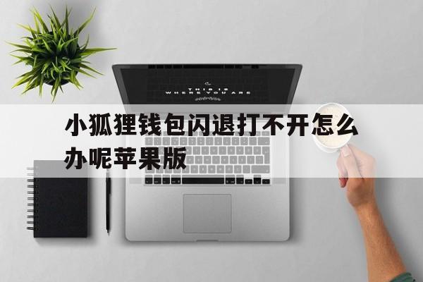 小狐狸钱包闪退打不开怎么办呢苹果版-小狐狸钱包闪退打不开怎么办呢苹果版手机
