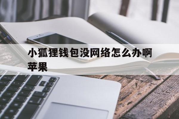 关于小狐狸钱包没网络怎么办啊苹果的信息