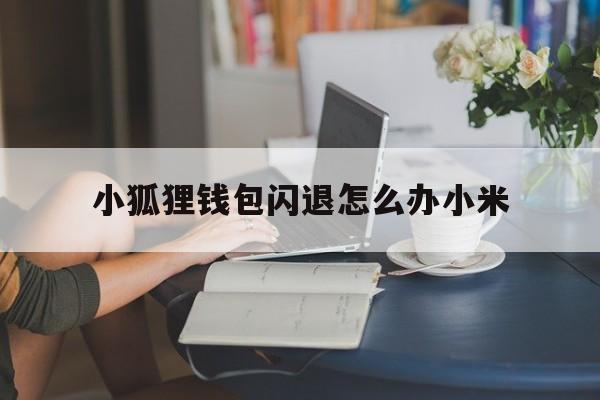 包含小狐狸钱包闪退怎么办小米的词条