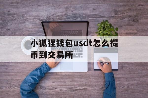 包含小狐狸钱包usdt怎么提币到交易所的词条