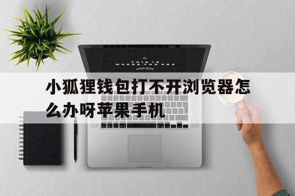 小狐狸钱包打不开浏览器怎么办呀苹果手机的简单介绍