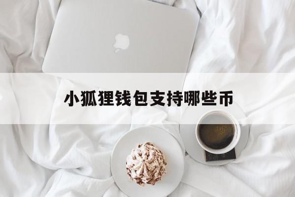 小狐狸钱包支持哪些币-小狐狸钱包支持bsc吗