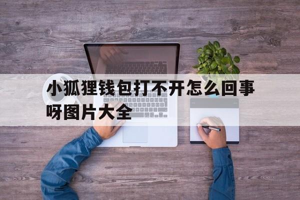 小狐狸钱包打不开怎么回事呀图片大全-小狐狸钱包打不开怎么回事呀图片大全视频