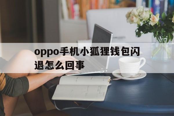 oppo手机小狐狸钱包闪退怎么回事-oppo手机小狐狸钱包闪退怎么回事儿