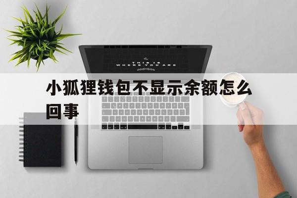 小狐狸钱包不显示余额怎么回事-小狐狸钱包不显示余额怎么回事呀