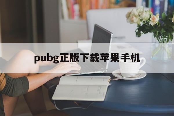 pubg正版下载苹果手机-pubgmobile下载苹果