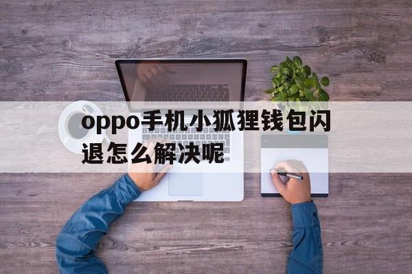 oppo手机小狐狸钱包闪退怎么解决呢-oppo手机小狐狸钱包闪退怎么解决呢视频