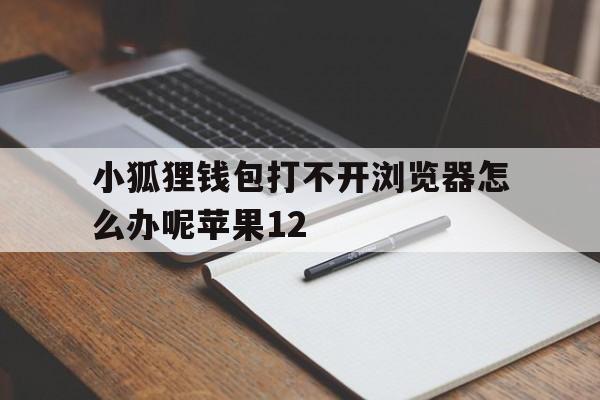 小狐狸钱包打不开浏览器怎么办呢苹果12-小狐狸钱包打不开浏览器怎么办呢苹果12手机