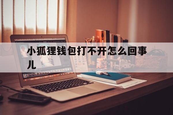 小狐狸钱包打不开怎么回事儿-小狐狸钱包打不开怎么回事儿呀