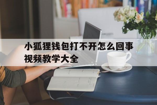 小狐狸钱包打不开怎么回事视频教学大全的简单介绍