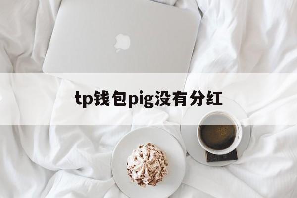 tp钱包pig没有分红-tp钱包的usdt被转走了