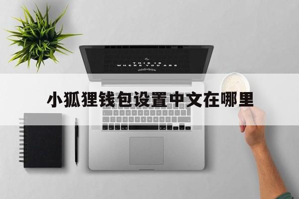 小狐狸钱包设置中文在哪里-小狐狸钱包手机版怎么设置中文版