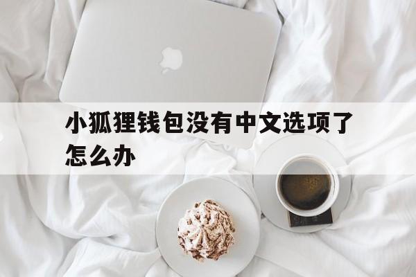 小狐狸钱包没有中文选项了怎么办-小狐狸钱包没有中文选项了怎么办啊
