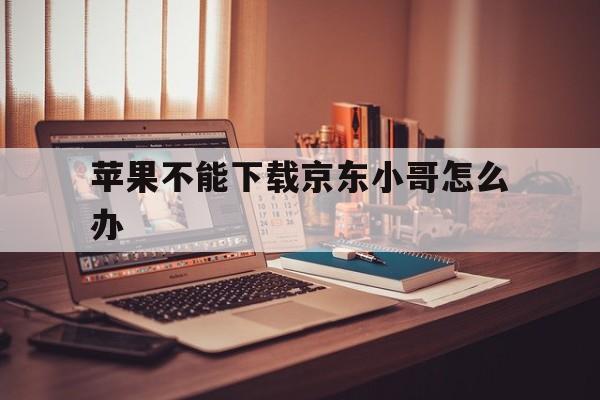 苹果不能下载京东小哥怎么办-苹果不能下载京东小哥怎么办呢