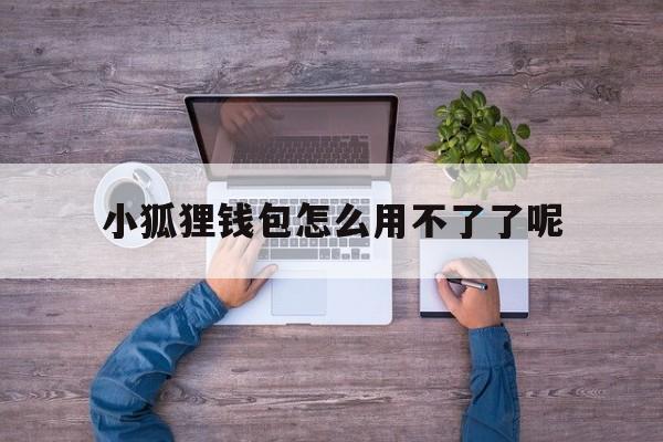 小狐狸钱包怎么用不了了呢-小狐狸钱包怎么用不了了呢怎么回事