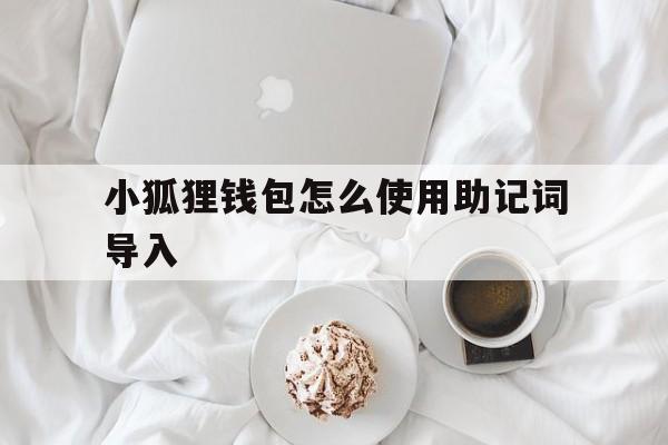 小狐狸钱包怎么使用助记词导入-小狐狸钱包怎么使用助记词导入功能