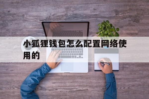 小狐狸钱包怎么配置网络使用的-小狐狸钱包怎么配置网络使用的功能