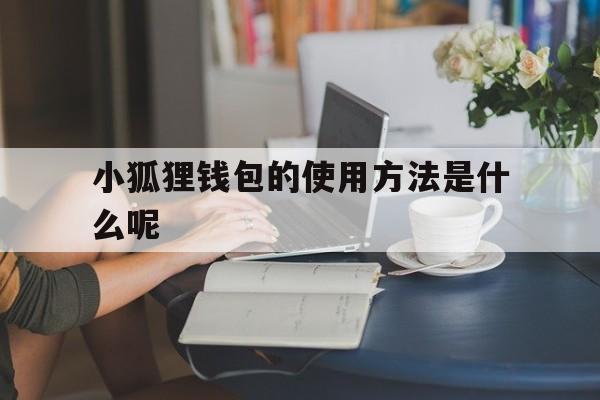 小狐狸钱包的使用方法是什么呢-小狐狸钱包的使用方法是什么呢视频
