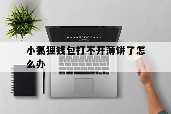 小狐狸钱包打不开薄饼了怎么办-小狐狸钱包打不开薄饼了怎么办呀