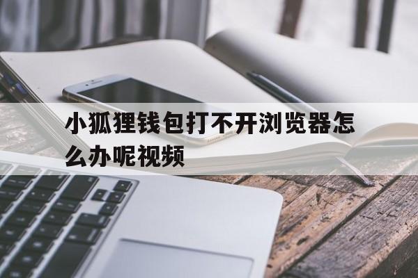 小狐狸钱包打不开浏览器怎么办呢视频-小狐狸钱包打不开浏览器怎么办呢视频讲解
