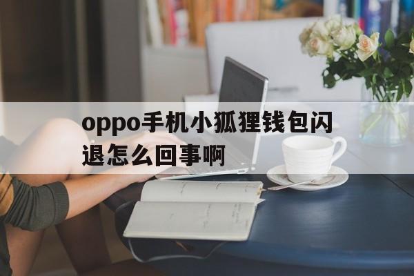 oppo手机小狐狸钱包闪退怎么回事啊-oppo手机小狐狸钱包闪退怎么回事啊视频