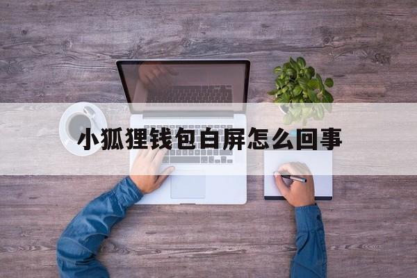 小狐狸钱包白屏怎么回事-小狐狸钱包白屏怎么回事儿