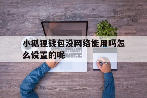 小狐狸钱包没网络能用吗怎么设置的呢-小狐狸钱包没网络能用吗怎么设置的呢视频