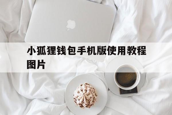 小狐狸钱包手机版使用教程图片-小狐狸钱包手机版使用教程图片大全