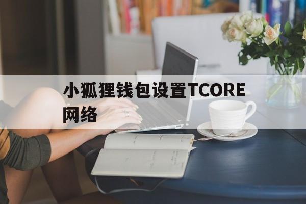 小狐狸钱包设置TCORE网络的简单介绍