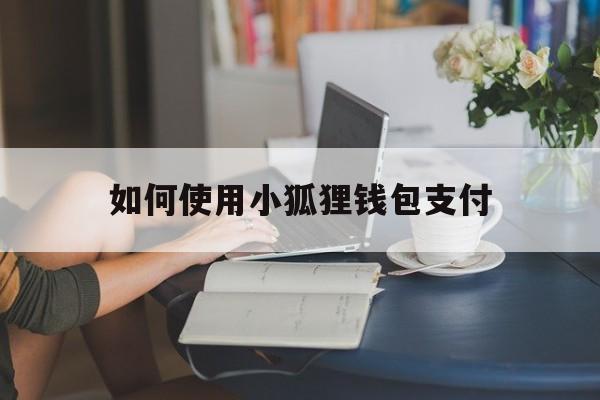 如何使用小狐狸钱包支付-如何使用小狐狸钱包支付功能