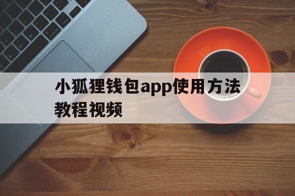 小狐狸钱包app使用方法教程视频-小狐狸钱包app使用方法教程视频大全