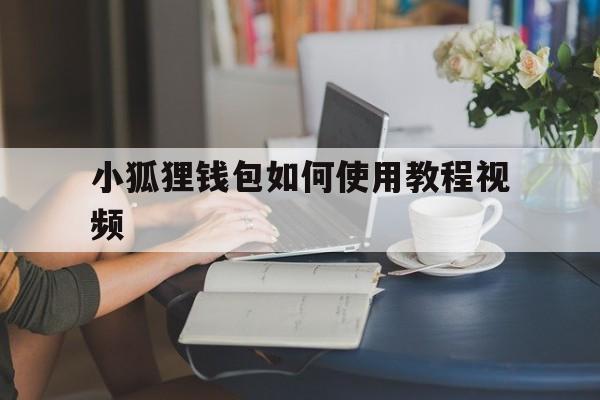 小狐狸钱包如何使用教程视频-小狐狸钱包如何使用教程视频讲解