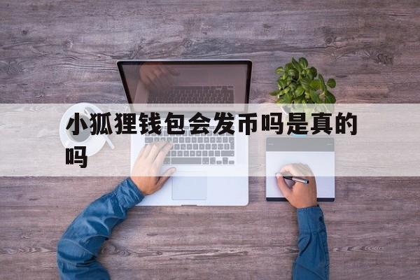 小狐狸钱包会发币吗是真的吗-小狐狸钱包会发币吗是真的吗还是假的