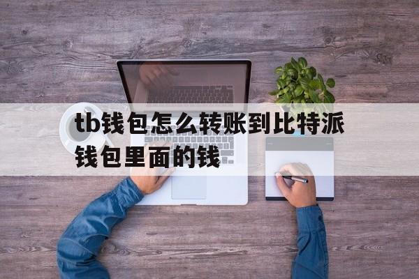 tb钱包怎么转账到比特派钱包里面的钱-tb钱包怎么转账到比特派钱包里面的钱不见了