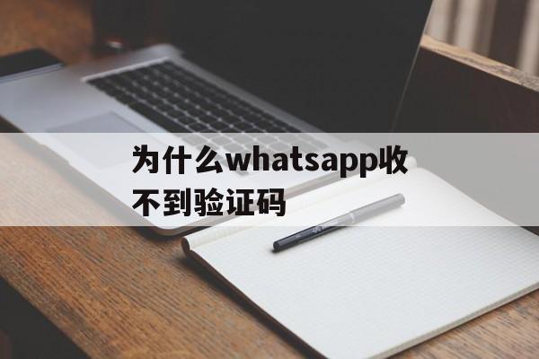 为什么whatsapp收不到验证码-为什么whatsapp收不到验证码怎么办