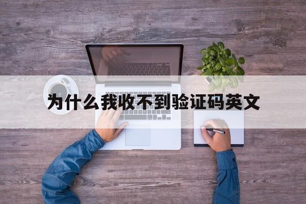 为什么我收不到验证码英文-为什么我收不到验证码英文翻译