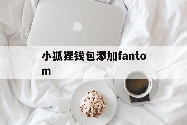 包含小狐狸钱包添加fantom的词条